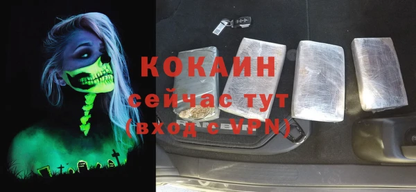 стаф Горняк