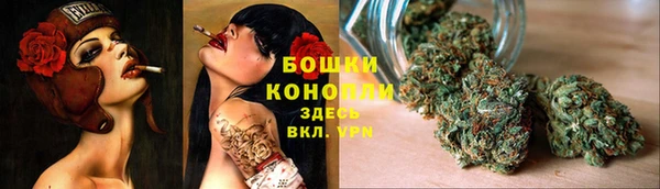 гидра Горнозаводск