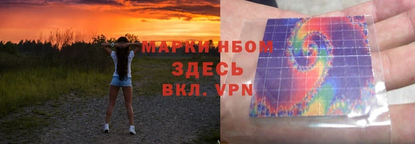 стаф Горняк