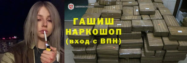 гидра Горнозаводск