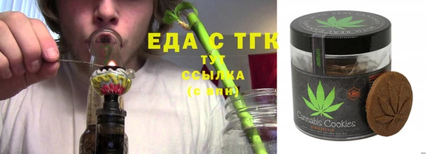 гидра Горнозаводск