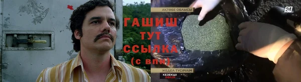 стаф Горняк