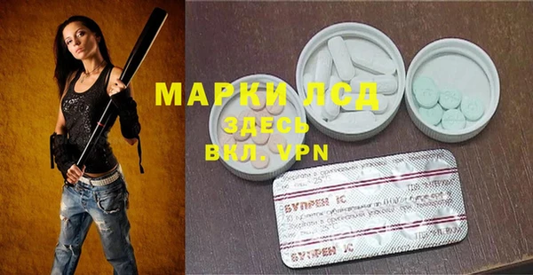 мяу мяу мука Горно-Алтайск