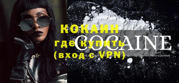 стаф Горняк