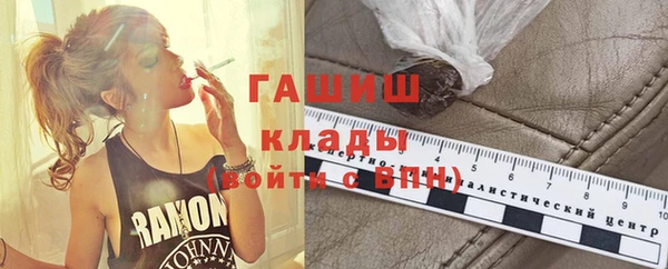 стаф Горняк