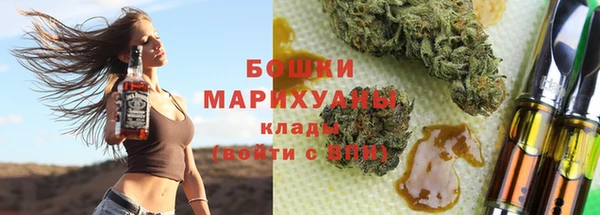 стаф Горняк