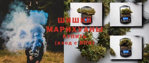 гидра Горнозаводск