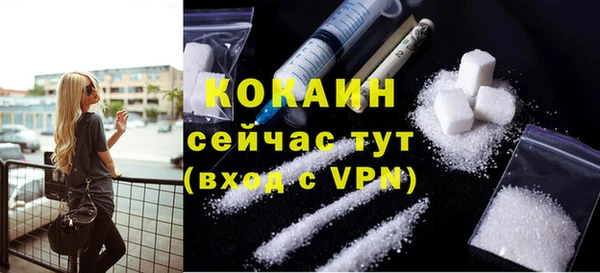 стаф Горняк
