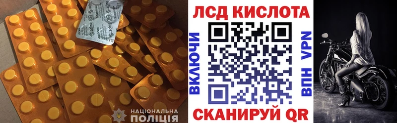 Купить где  Богданович  Лсд 25 экстази кислота 