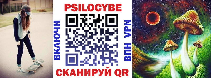 Купить  Богданович  Галлюциногенные грибы GOLDEN TEACHER 
